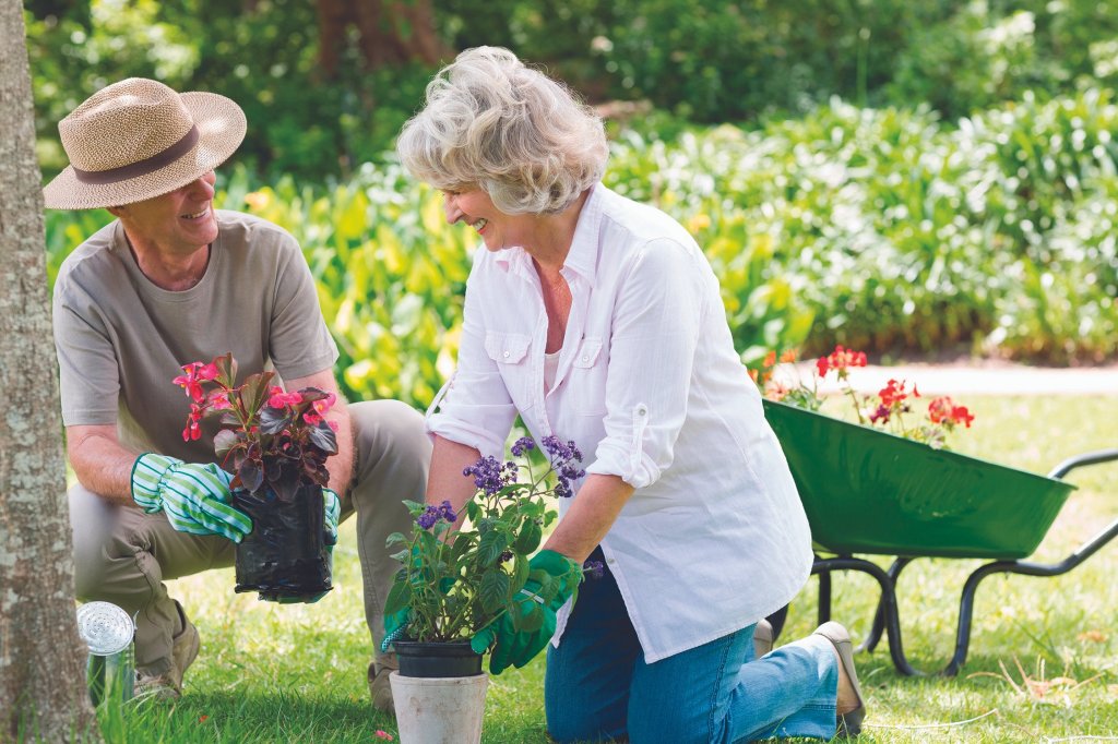 Easy Ideas to Stretch Your Retirement Budget: Ways Seniors can Save on Enjoyable&nbsp;Retirement